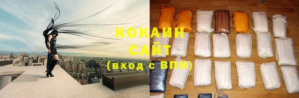 ПСИЛОЦИБИНОВЫЕ ГРИБЫ Горнозаводск