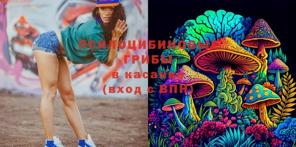 MESCALINE Горно-Алтайск