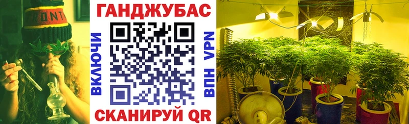 Бошки Шишки MAZAR  дарнет шоп  Ильский 